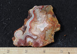 Laguna Lace Agate Rock Slab 458