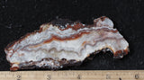 Laguna Lace Agate Rock Slab 473