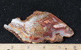 Laguna Lace Agate Rock Slab 465