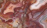 Laguna Lace Agate Rock Slab 465