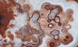 Laguna Lace Agate Rock Slab 463