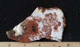 Laguna Lace Agate Rock Slab 463