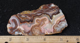 Laguna Lace Agate Rock Slab 466