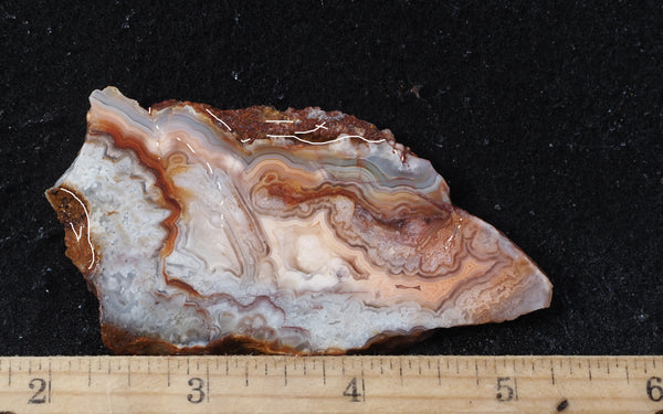 Laguna Lace Agate Rock Slab 464 – DD Rocks