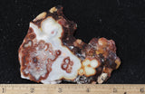 Laguna Lace Agate Rock Slab 459