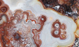 Laguna Lace Agate Rock Slab 459