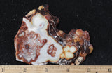 Laguna Lace Agate Rock Slab 459