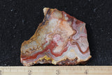 Laguna Lace Agate Rock Slab 462