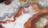 Laguna Lace Agate Rock Slab 474