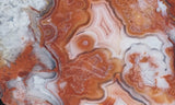 Laguna Lace Agate Rock Slab 469