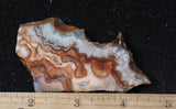 Laguna Lace Agate Rock Slab 461