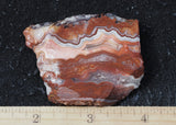 Laguna Lace Agate Rock Slab 467