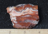 Laguna Lace Agate Rock Slab 467