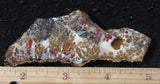 Mexican Sage Plume Slab 476