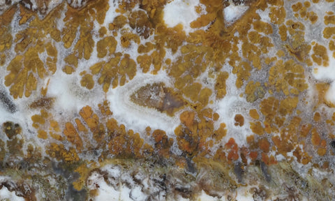 Bargain Bin C Slab 921