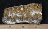 Mexican Sage Plume Slab 487