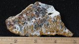 Mexican Sage Plume Slab 490