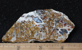 Mexican Sage Plume Slab 484