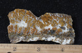 Mexican Sage Plume Slab 480