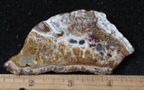 Mexican Sage Plume Slab 494