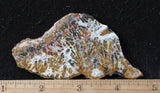 Mexican Sage Plume Slab 488