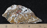 Mexican Sage Plume Slab 482