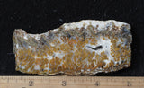 Mexican Sage Plume Slab 493