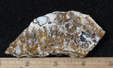 Mexican Sage Plume Slab 491