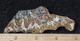 Mexican Sage Plume Slab 481