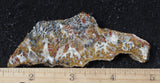 Mexican Sage Plume Slab 481