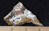 Mexican Sage Plume Slab 489