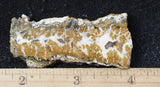 Mexican Sage Plume Slab 497