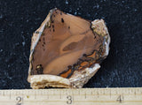 Whiskey Creek Jasper Rock Slab 95