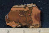 Whiskey Creek Jasper Rock Slab 147