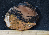 Whiskey Creek Jasper Rock Slab 85