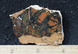 Whiskey Creek Jasper Rock Slab 106