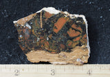 Whiskey Creek Jasper Rock Slab 106