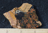 Whiskey Creek Jasper Rock Slab 93