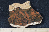 Whiskey Creek Jasper Rock Slab 130