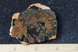 Whiskey Creek Jasper Rock Slab 75