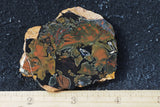Whiskey Creek Jasper Rock Slab 75