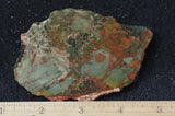 Whiskey Creek Jasper Rock Slab 136