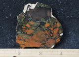 Whiskey Creek Jasper Rock Slab 86