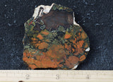 Whiskey Creek Jasper Rock Slab 86