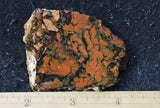 Whiskey Creek Jasper Rock Slab 87