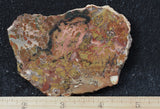 Whiskey Creek Jasper Rock Slab 128