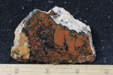 Whiskey Creek Jasper Rock Slab 135