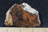 Whiskey Creek Jasper Rock Slab 135