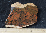 Bargain Bin E Slab 194