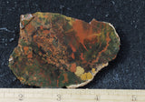 Whiskey Creek Jasper Rock Slab 141